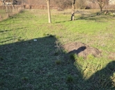 Eladó telek/földterület Tápiószele 3 500 000 Ft