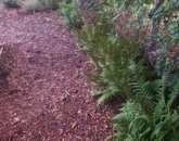 Eladó családi ház Szentmártonkáta 18 900 000 Ft