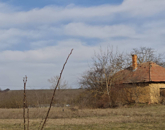 Eladó telek/földterület Pilis 5 000 000 Ft