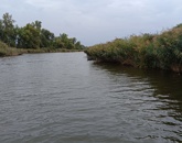 Eladó telek/földterület Taksony 38 000 000 Ft