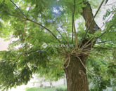 Eladó lakás Budapest XI. ker 57 900 000 Ft