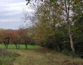 Eladó telek/földterület Kaposvár 6 000 000 Ft