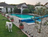 Eladó családi ház Vecsés 148 900 000 Ft