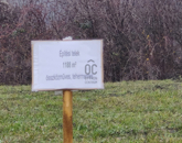 Eladó telek/földterület Pilisborosjenő 130 700 000 Ft