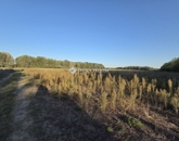 Eladó családi ház Kistelek 10 590 000 Ft