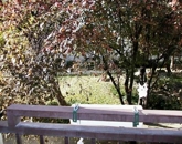 Kiadó lakás Budapest VII. ker 260 000 Ft