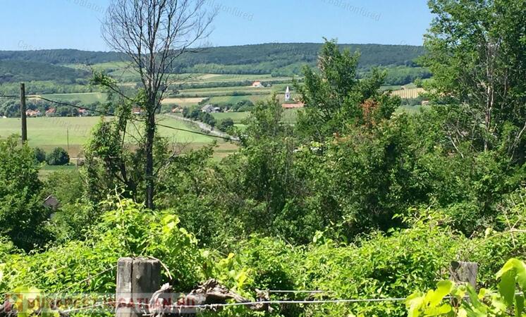 Nivegy - völgy domboldalában                                 