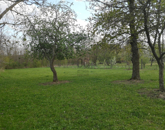 Eladó üdülő/nyaraló Kávás 10 990 000 Ft