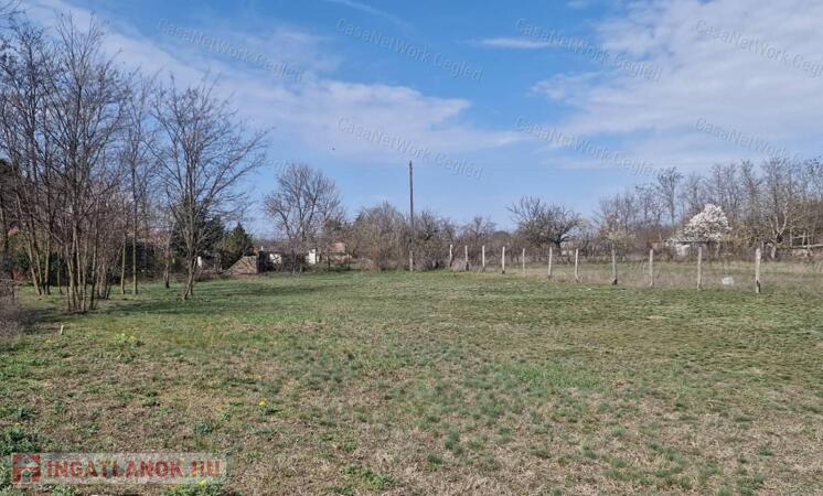 Cegléden telek eladó!
