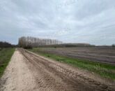 Eladó telek/földterület Dánszentmiklós 58 000 000 Ft