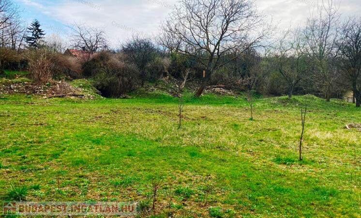 Kisdörgicsei belterületi telek                                 