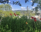 Eladó lakás Budapest II. ker 158 000 000 Ft