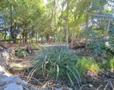 Eladó családi ház Kásád 44 900 000 Ft