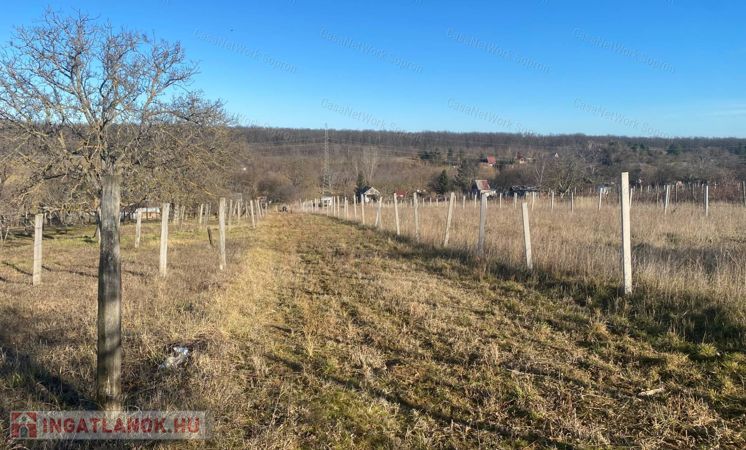 Hobbikert eladó Kópháza mellett, a Gara-dülőben