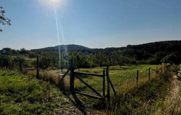 Eladó telek/földterület