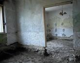 Zsámbéki felújítás alatt álló ház eladó!