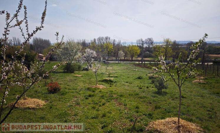 Eladó építési telek Csopakon                                 