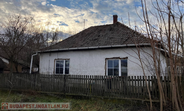 ELADÓ 2628 m2 területű tanya Jászszentandráson                                 