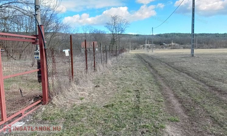 Természetkedvelők figyelmébe