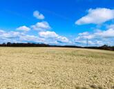 Eladó kiváló elhelyezkedésű szántó