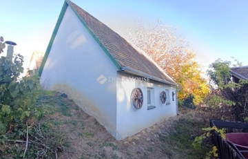 Eladó üdülő/nyaraló