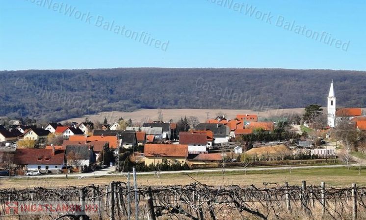 PANORÁMÁS TERÜLET - eladó SZŐLŐ TERÜLET SZENTANTALFÁN