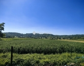 Eladó családi ház Lovászi 35 000 000 Ft