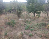 Eladó telek/földterület Kővágószőlős 5 500 000 Ft