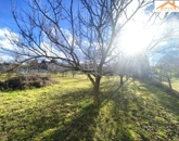 Eladó telek/földterület Sárszentmihály 13 000 000 Ft