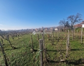 Eladó telek/földterület Kővágószőlős 14 500 000 Ft