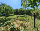 Eladó telek/földterület Pécs 8 000 000 Ft