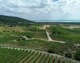 Örök panorámás beépíthető szőlő terület