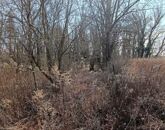 Eladó telek/földterület Dömsöd 9 900 000 Ft