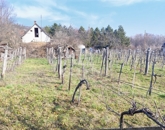 Eladó telek/földterület Felsőörs 60 000 000 Ft