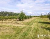 Eladó családi ház Debrecen 115 000 000 Ft