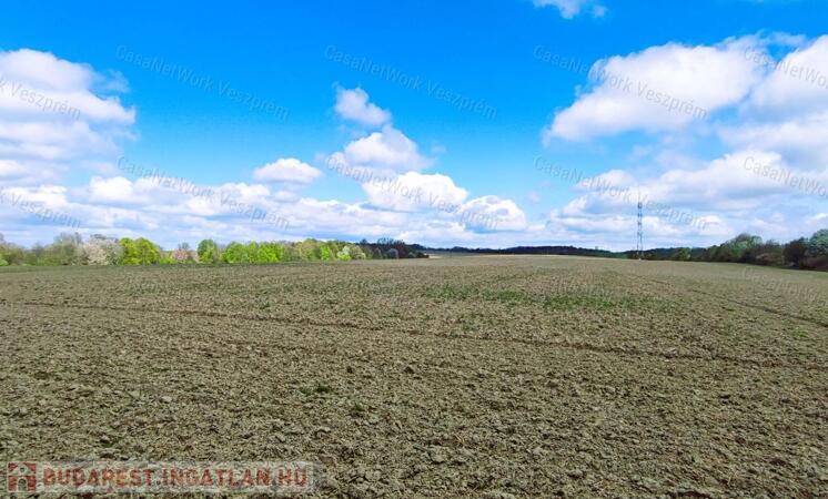Eladó kiváló elhelyezkedésű szántó                                 
