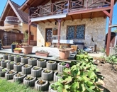 Eladó családi ház Szigetcsép 109 900 000 Ft