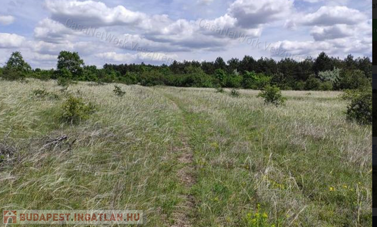 Eladó mezőgazdasági terület Veszprém vonzáskörzetében megfizethető áron!                                 