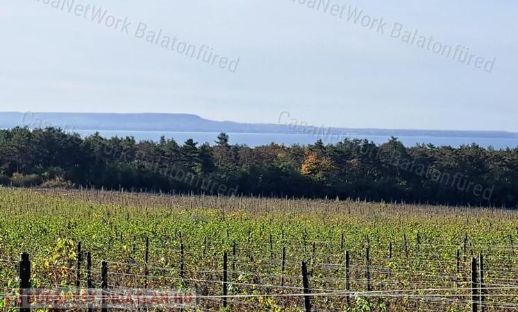 Település közeli, építhető-eladó MEZŐGAZDASÁGI TERÜLET BALATONAKALIBAN                                 