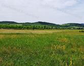 Kedvező adottságokkal-eladó MEZŐGAZDASÁGI TERÜLET BALATONRENDESEN