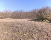 Eladó családi ház Albertirsa 21 900 000 Ft