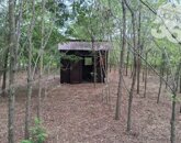 Eladó családi ház Kecskemét 115 000 000 Ft