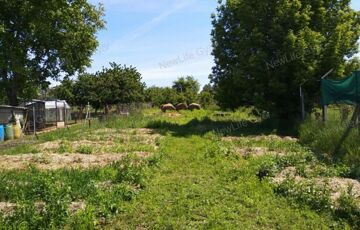 Eladó telek/földterület