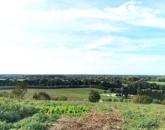 Eladó telek/földterület Alsóújlak 14 900 000 Ft