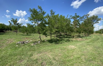 Eladó telek/földterület