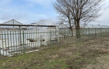 Eladó telek/földterület