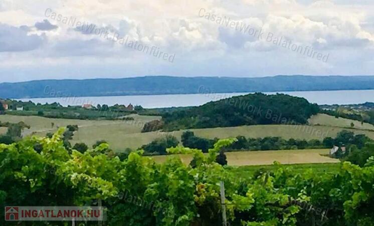 Balatoni panorámás -Szőlős kert