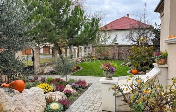 Eladó családi ház