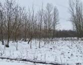 Eladó szántó Cegléden, az Ugyeri dűlőben