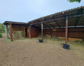 Eladó üdülő/nyaraló Csákvár 22 900 000 Ft